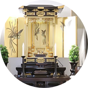 桜梅桃李について