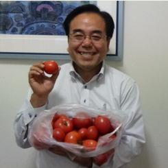 仏壇購入いただきましたお客様より、取れたてのトマトを頂きました