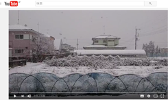 茨城県古河市の桜梅桃李.comの事務所付近の雪模様です！