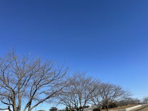 〈随筆「人間革命」光あれ〉池田大作　君の胸に凱歌よ轟け2022年12月28日（聖教新聞より引用）：2022年総括・感想と決意３