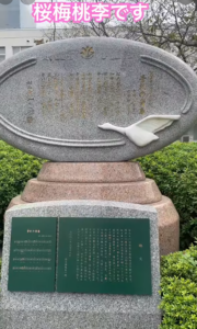 「娘と共に」歴史的祭典で誓う、私の人間革命～創価短大「白鳥祭」の感動：「誉の青春」に込められた池田先生の想い