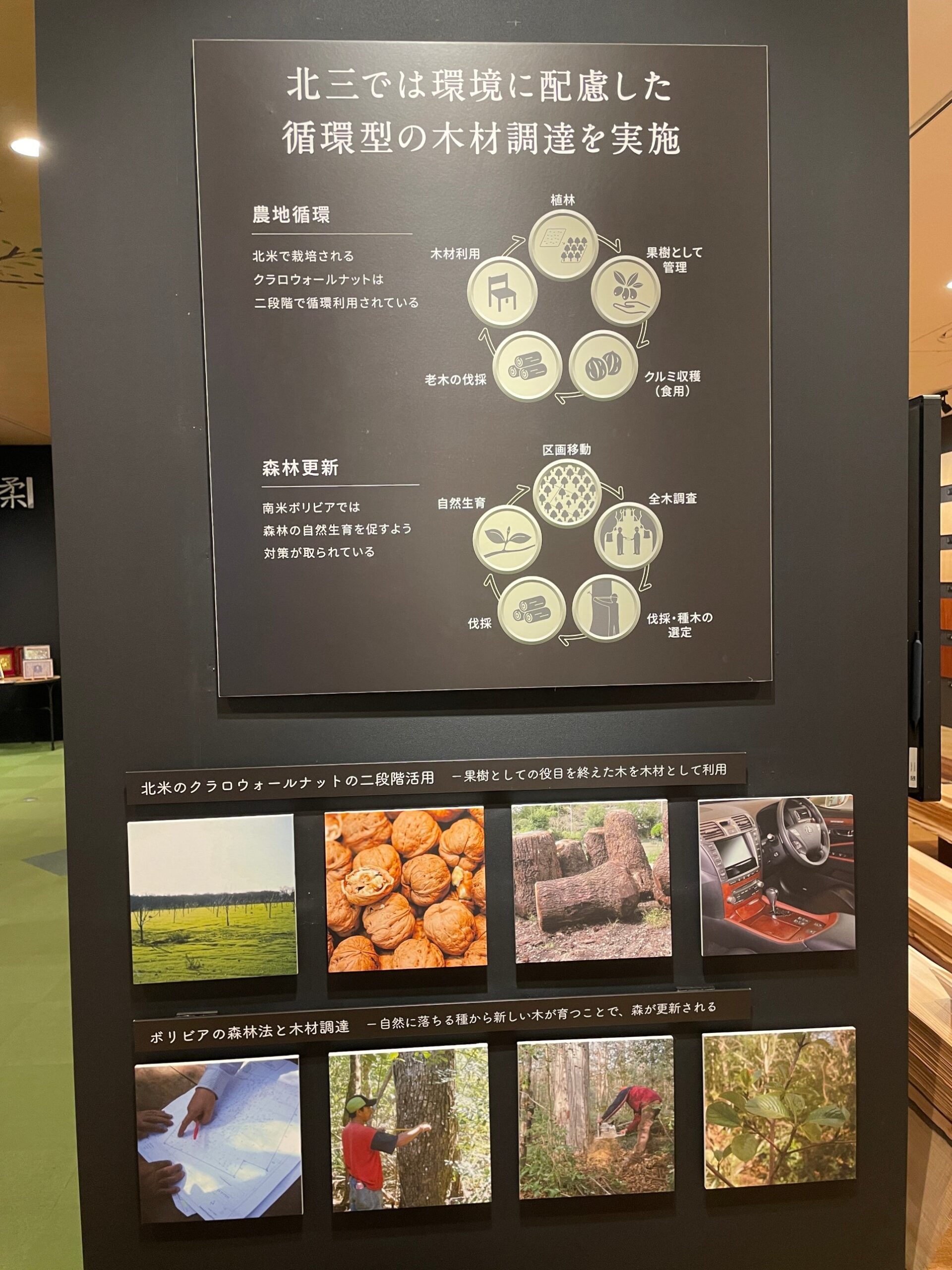 北三ショールームの展示 環境に配慮した循環型の木材調達