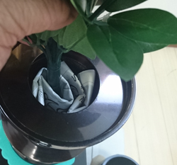 2016917141422.jpgのサムネイル画像