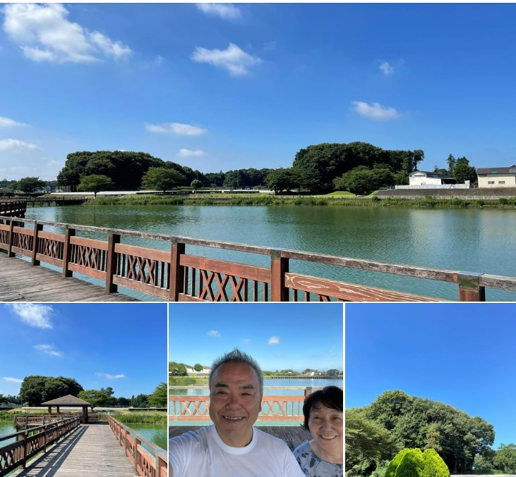 いよいよ夏本番でしょうか！久しぶりの朝の散歩