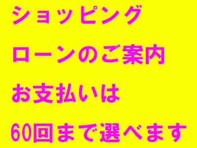 仏壇を分割払いの支払いできます。
