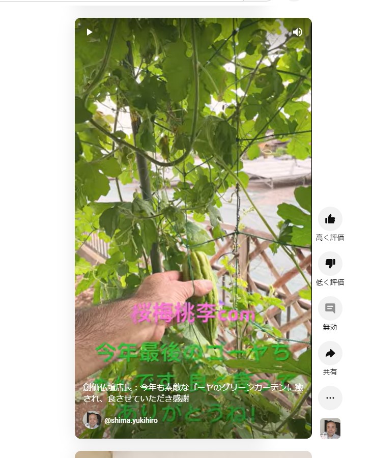 創価仏壇店長：今年も素敵なゴーヤのグリーンカーテンに癒され、食させていただき感謝