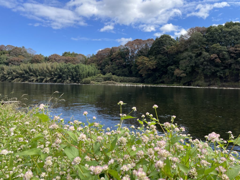 2024年の活動　〈テーマ〉「世界青年学会　開幕の年」聖教新聞から掲載させていただきました。