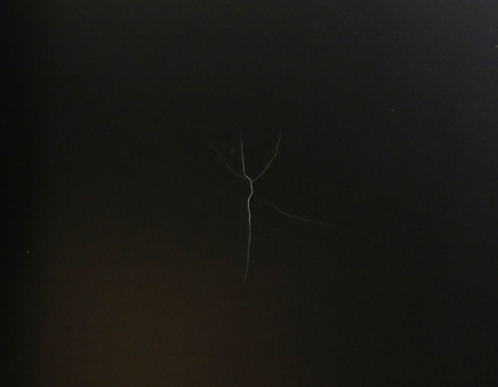 創価学会仏壇専門店桜梅桃李.comより創価学会家具調中古仏壇701を発売致します。